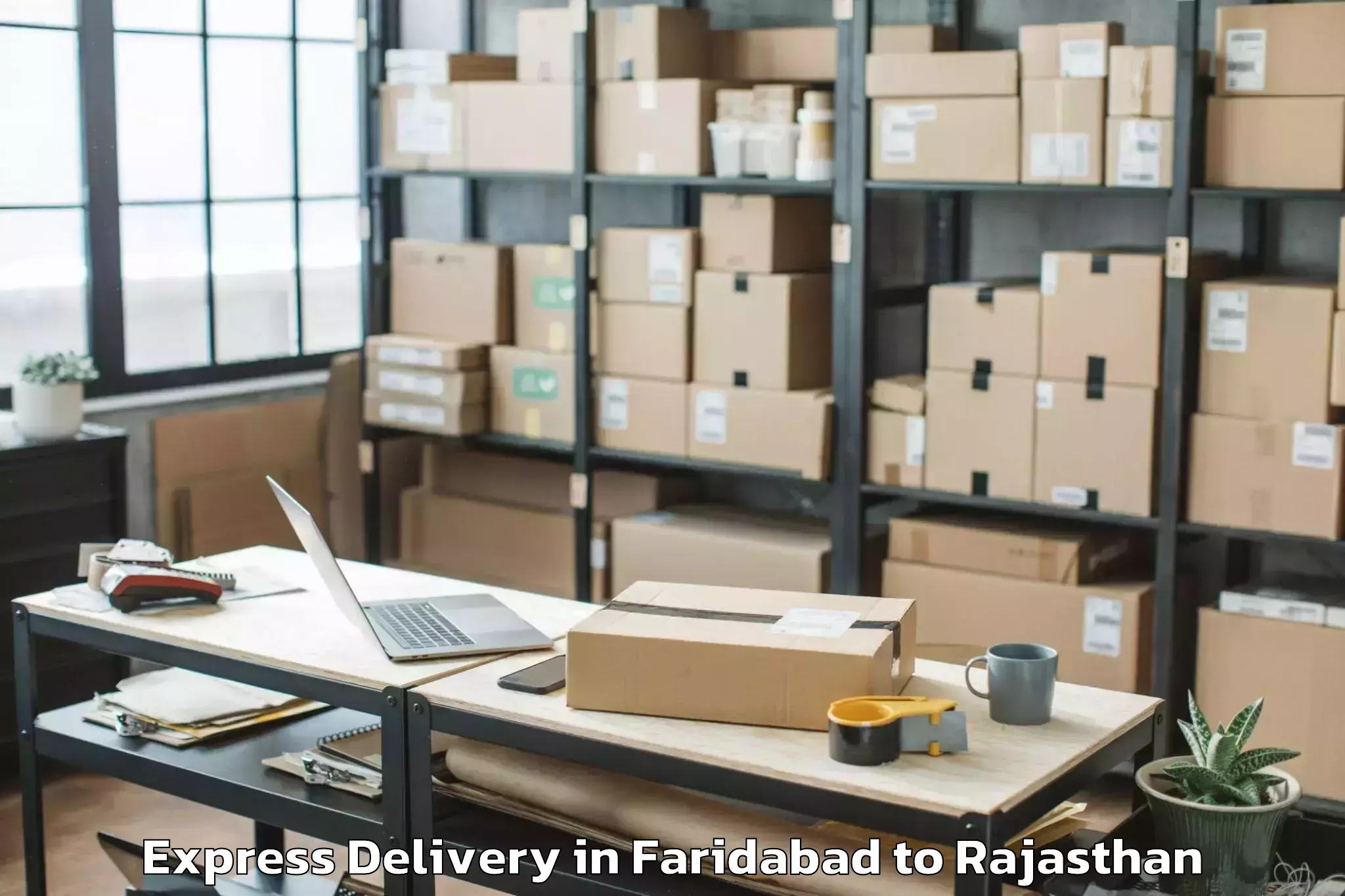 Professional Faridabad to Chittorgarh Express Delivery